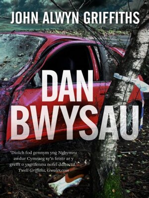 cover image of Dan Bwysau